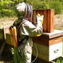 PACK APICULTURE - AIRION 3 + BATTERIE ALPHA 520