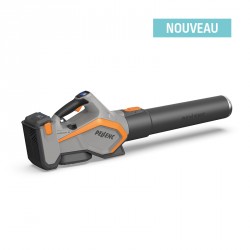AIRION ESSENTIAL