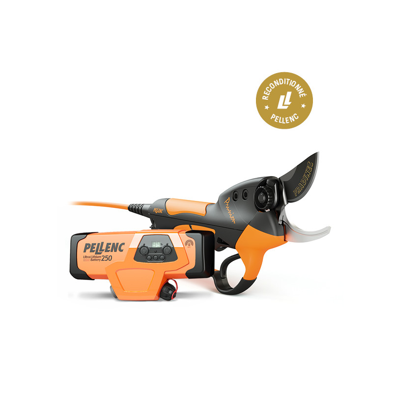 PRUNION 250